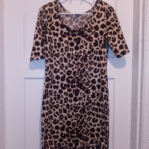 Mid sleeve mini winter dress